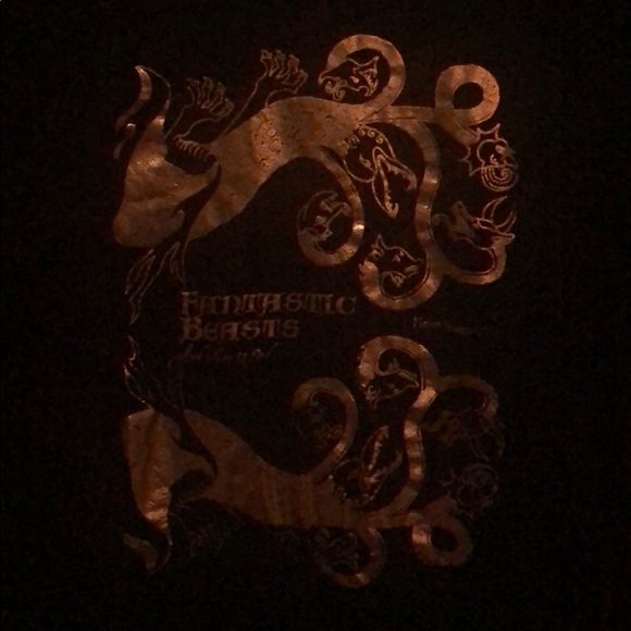 Fantastic Beasts. - Picture 2 of 5